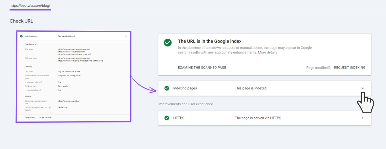 Checking via the URL check tool of the Google Search Console