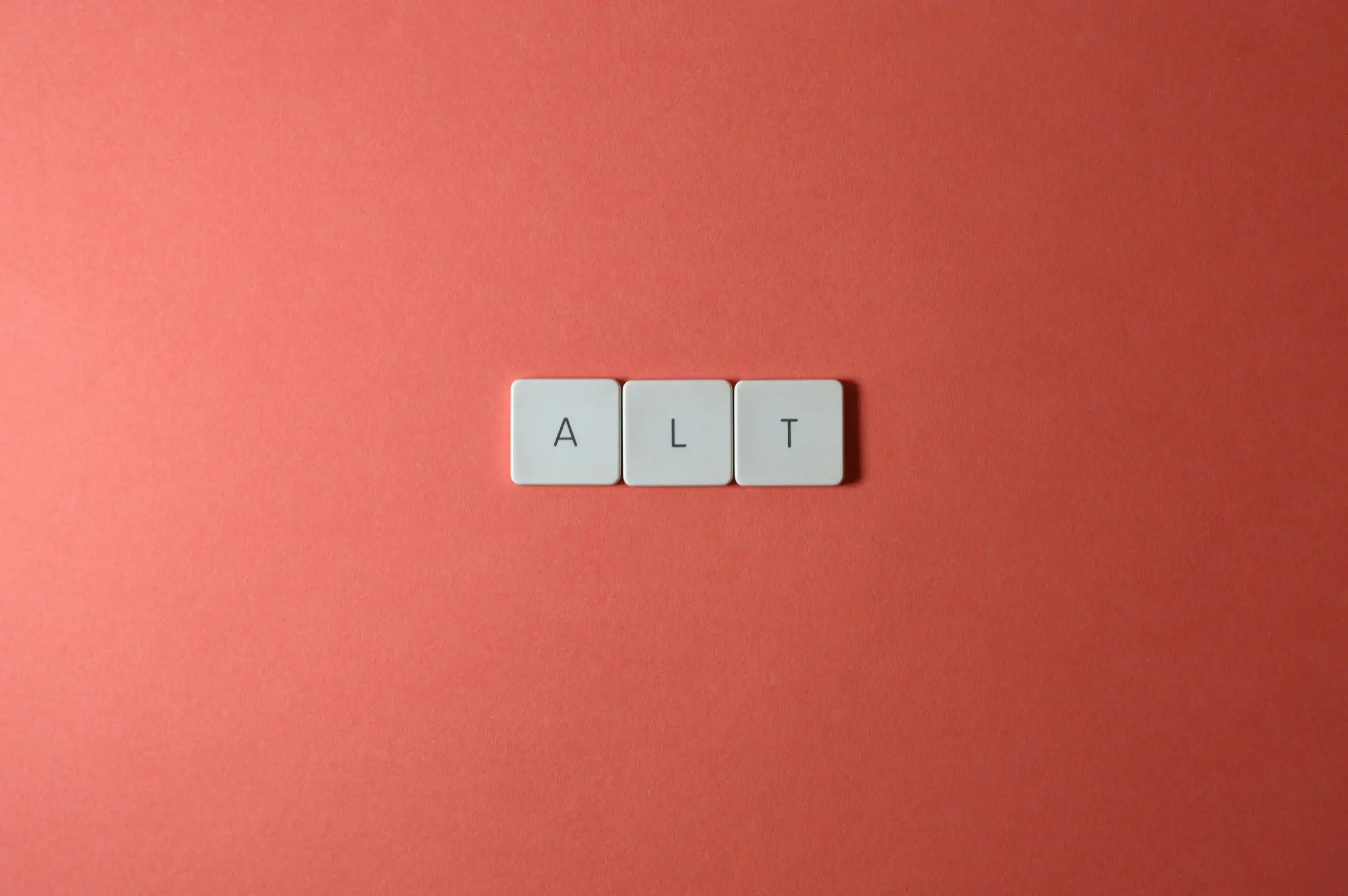 Write down a simple description of the image